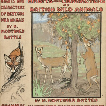 Warwick Reynolds (1880-1926)